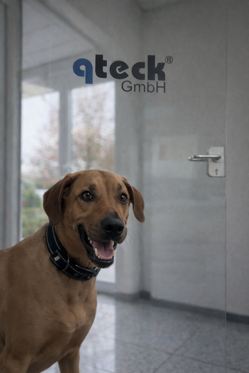 Bashira, die Feelgood-Managerin von qteck